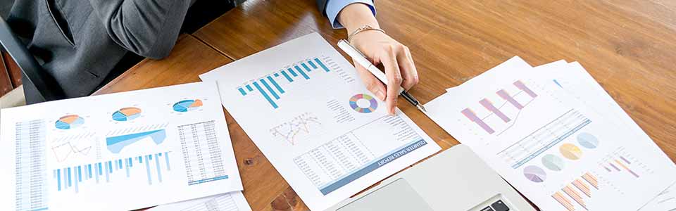 sprawdzenie bik - pobieramy raporty