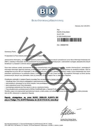 wzór raportu BIK