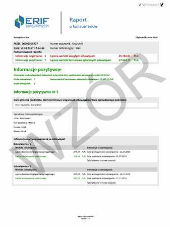raport z BIG ERIF Infokonsument wzór 2017