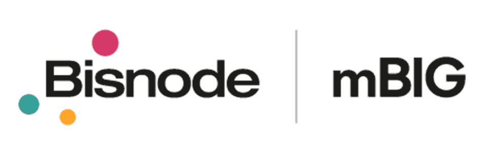 Bisnode mBIG logotyp