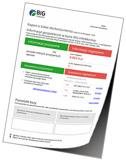 raport big