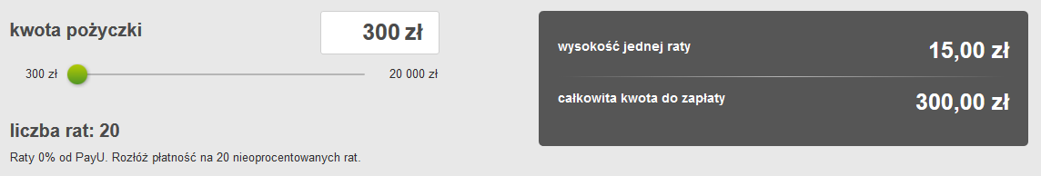 raty-payu-bik-scoring