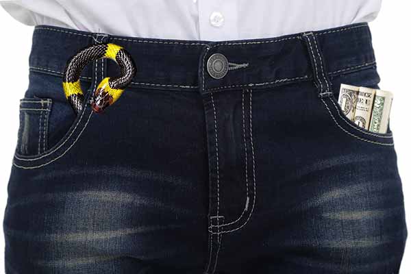 szukam prywatnej pozyczki