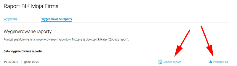 raport-bik-firma-pobierz-raport-10