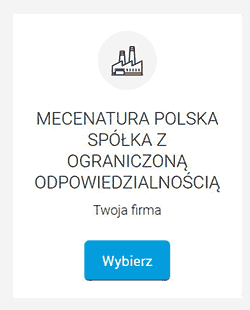 raport-bik-firma-profil-aktywny-6