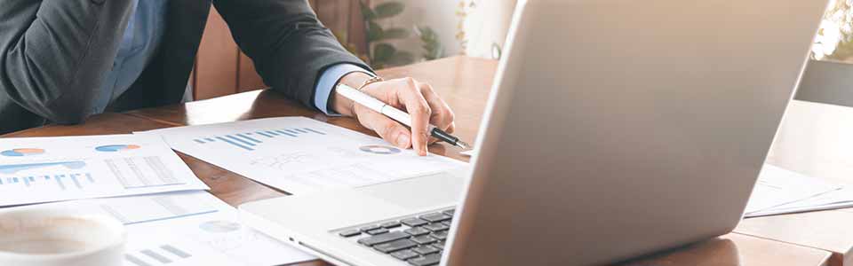 Raport bik firmy lub przedsiębiorcy całkowicie on-line